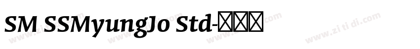 SM SSMyungJo Std字体转换